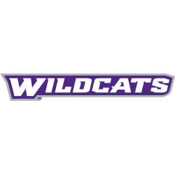 Abilene Christian Wildcats Wordmark Logo 2013 - Present